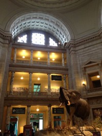 Students visited the National Museum of Natural History.